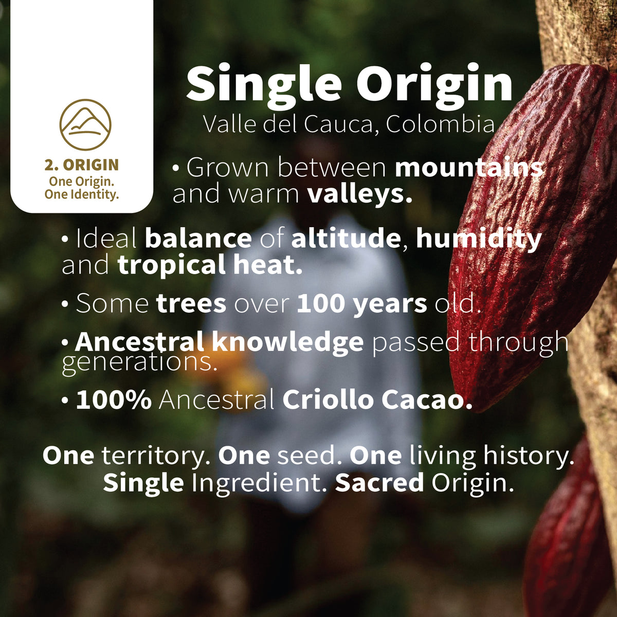 One Origin. One Identity.